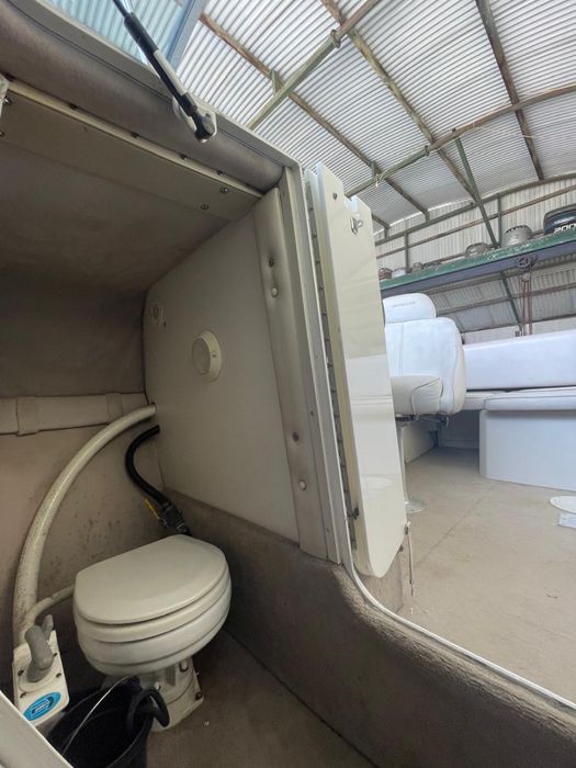 Crownline 210 Volvo Penta