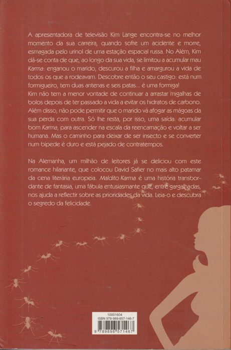 Maldito Karma - David Safier