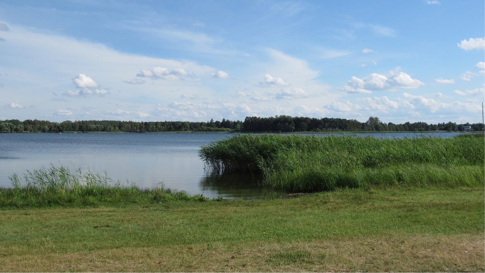Zdjęcie 4