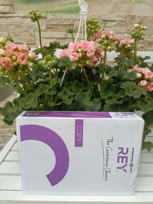 Papier ksero + prezent gratis