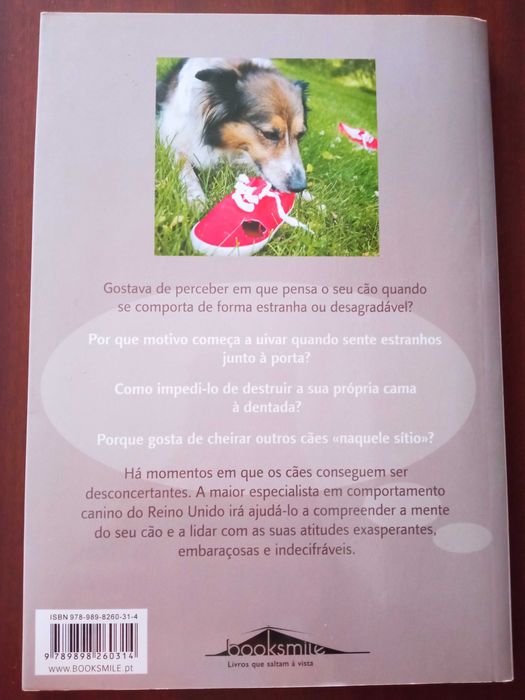 Porque é que o meu cão é assim