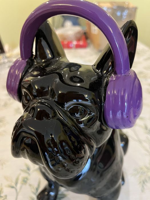 Cão loica marca gato preto bull dog ingles