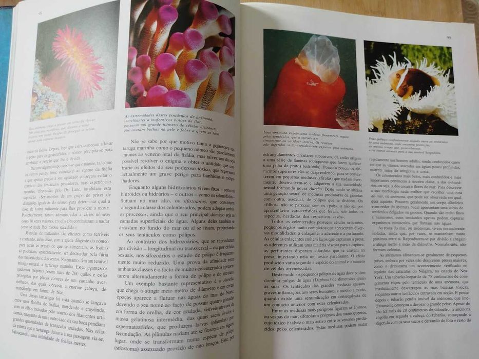 O Grande Livro dos Oceanos