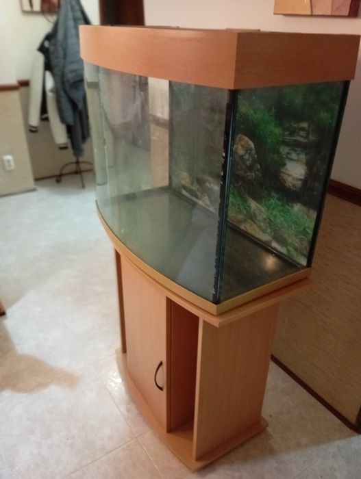 Aquário com móvel e acessorios