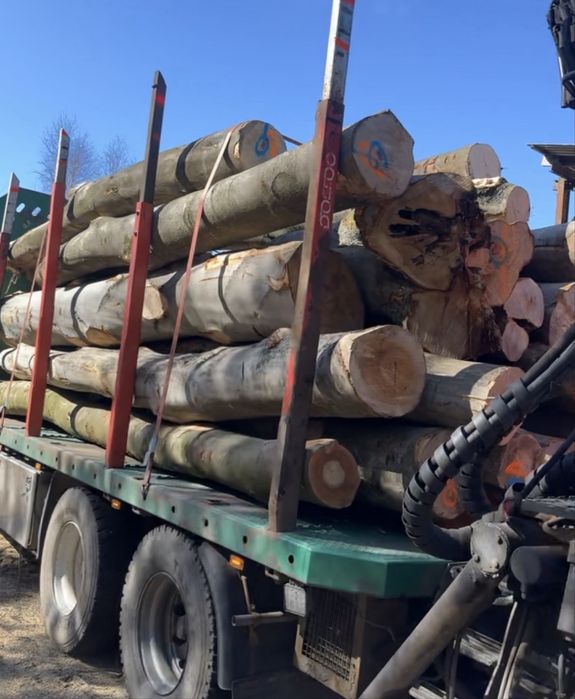 Drewno kominkowe pociente połupane okazja