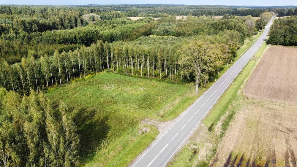Działki otulone lasem z warunkami zabudowy, las - Widok 5