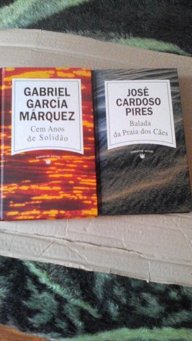 Livro "A praia da balada dos cães"