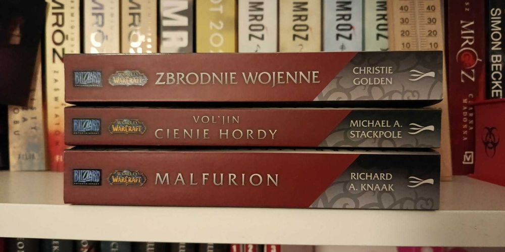 Książki warcraft