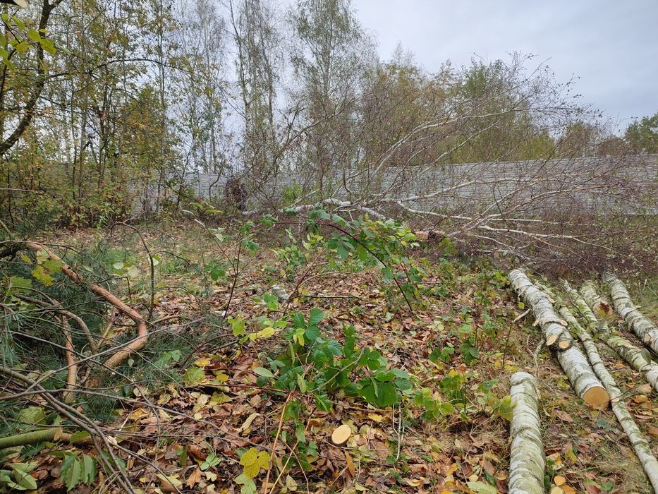 Ogarniemy zarośnięta działkę pod sprzedaż lub budowę!