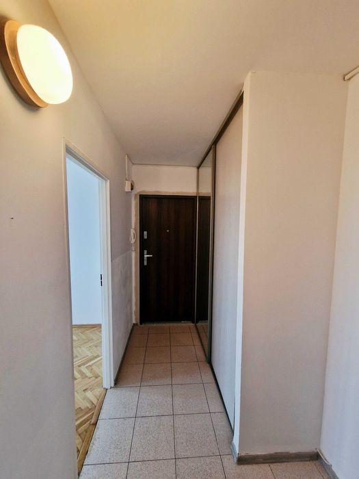 Na sprzedaz m3 Zazamcze przy lesie