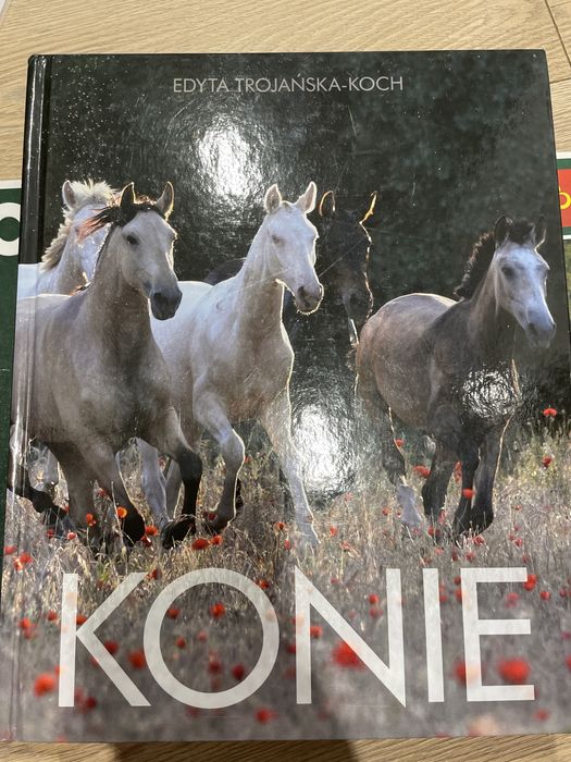 Konie, Edyta Trojańska-Koch Konie, Stowarzyszenie Magicznych Jednorożc