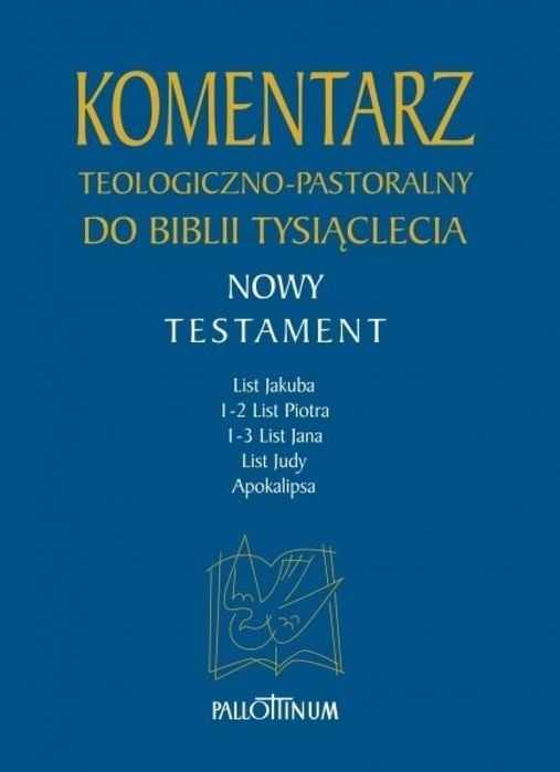 Komentarz teologiczno-pastoralny T.5 Pallottinum praca zbiorowa Rok
