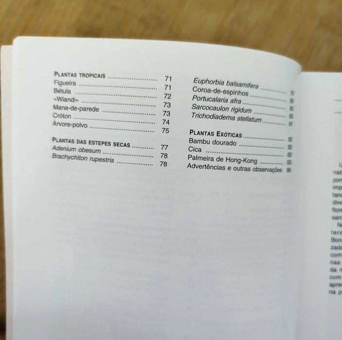 Bonsai de Interior de Jochen Pfisterer