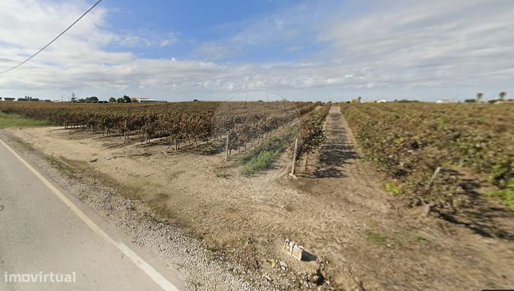 Terreno  para venda