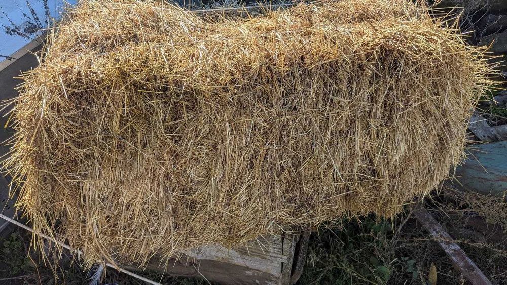 Продам сіно в тюках