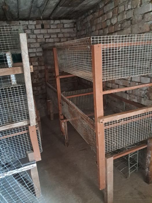 Клітки для підращування та тримання  птиці та тварин