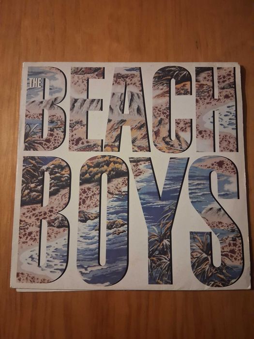 The Beach Boys Vinyl Record