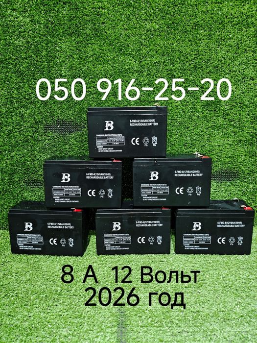 Мотор насос- помпа  Акумулятор к аккумуляторному опрыскивателю