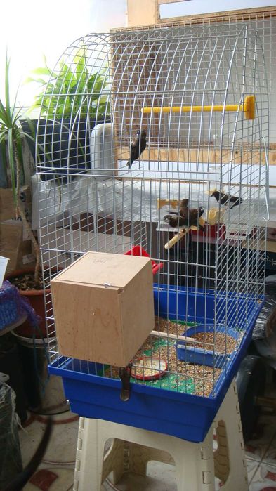 Клетка для Японских Амадин