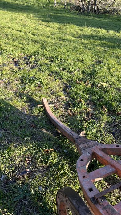 Carro de bói, reliquia antiga