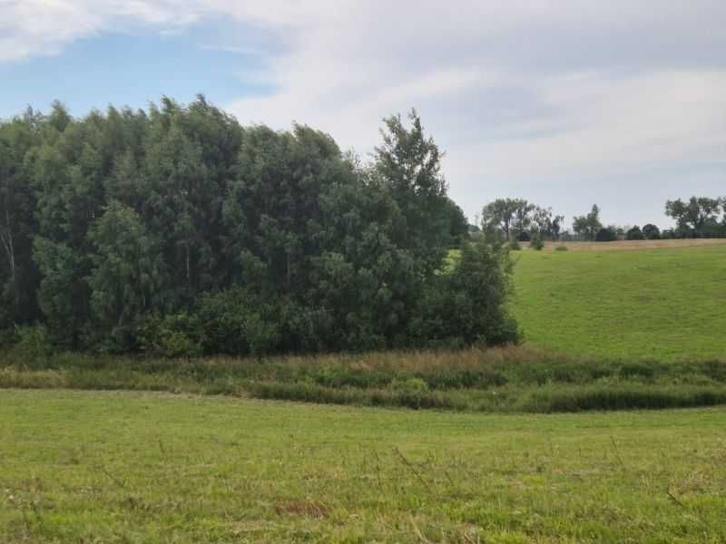 sprzedam działkę nad jeziorem