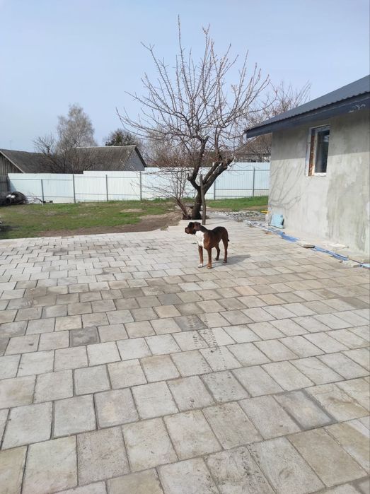 Продам дом в Змиёве