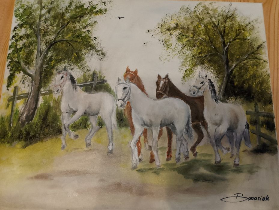 Słodkie koniki obraz 50/40 cm