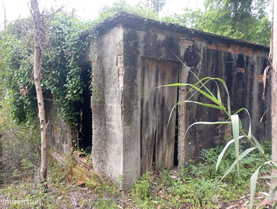 Terreno  com moinho, na rota dos mionhos em Ouca – Vagos