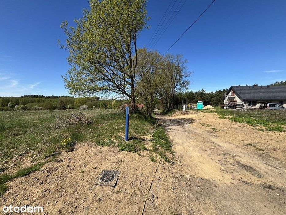 Działki budowlane przy ścianie lasu - Widok 5