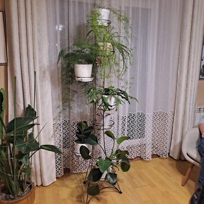 Kwietnik wysoki 170cm