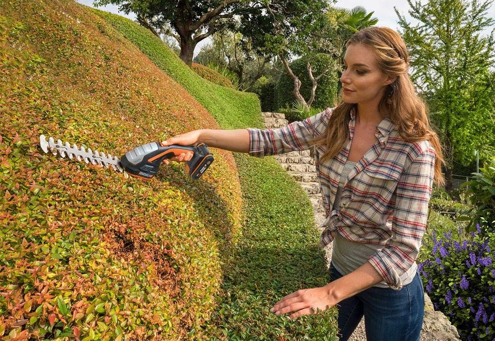 Worx Tesoura de relva e corta-sebes sem fios 20 V WG801E.3