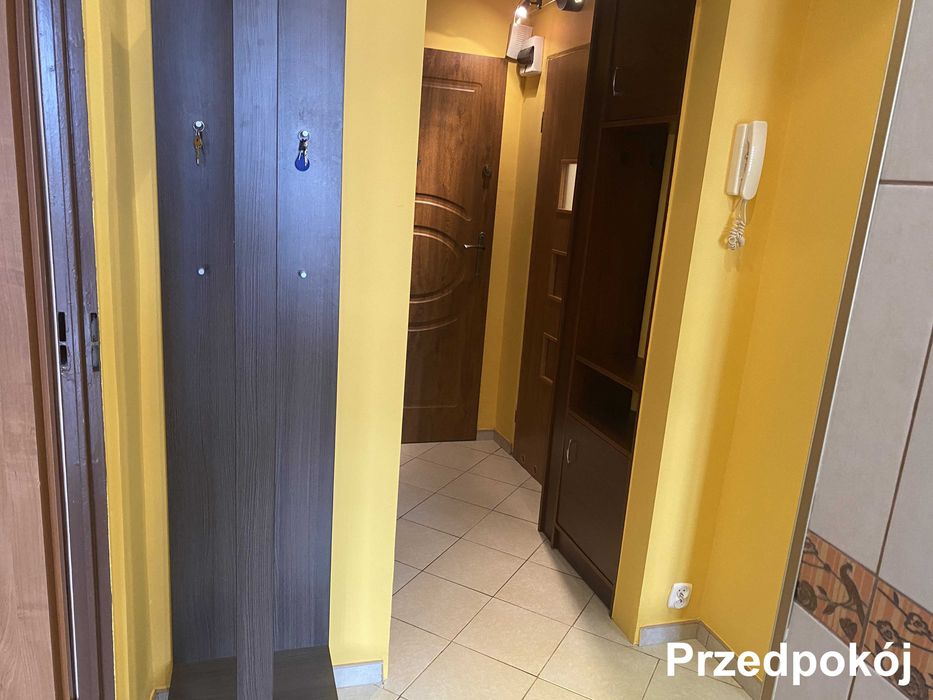 Zdjęcie 8