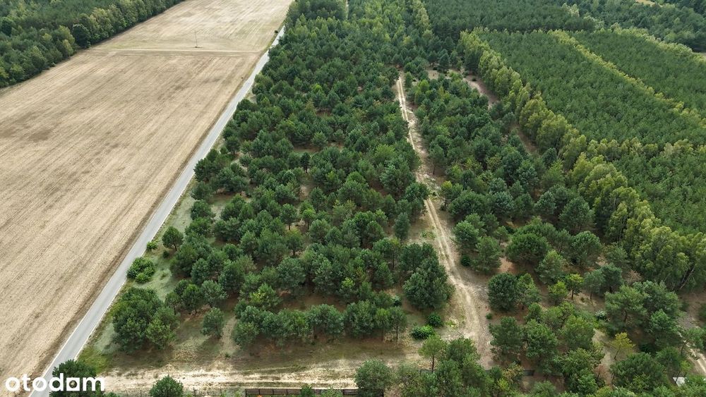 Działki budowlane pośród jezior i lasów - Więcej
