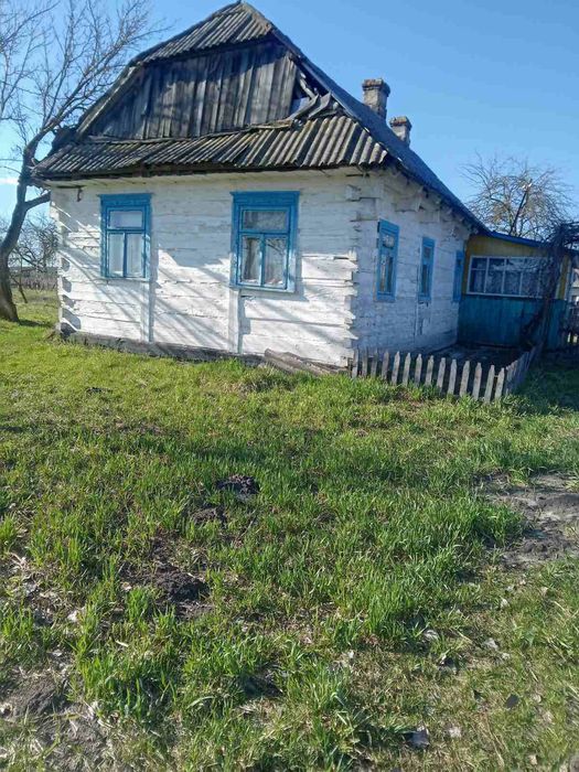 земельна ділянка з будинком, город, участок. Стеблі