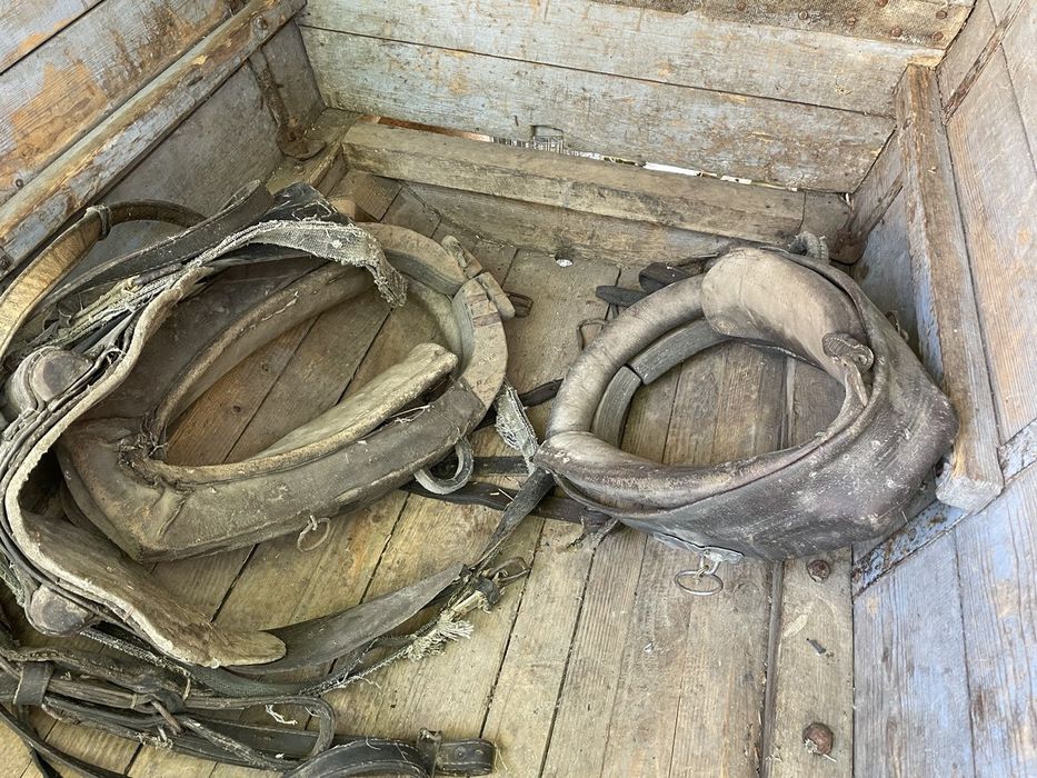 Бричка для Коня на ресорах