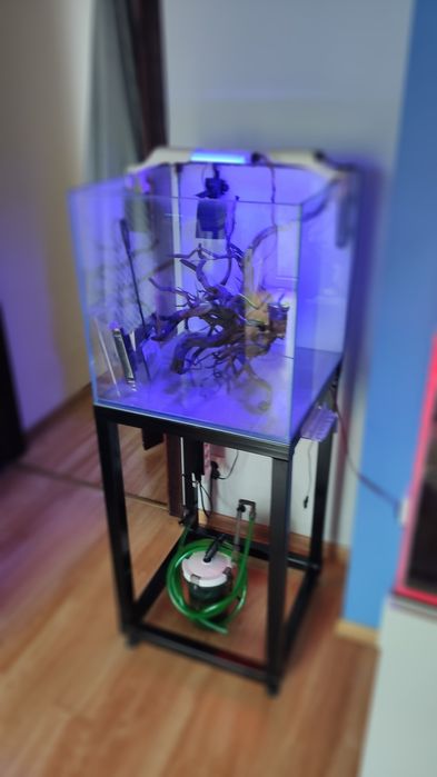 Akwarium Optiwhite 50x50x50 plus profesjonalny stelaż 80 cm wysoki