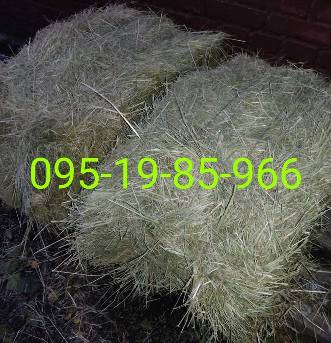 СІНО З ДОСТАВКОЮ в тюках мешках, сено тимофеевки и др. Корм, подстилка
