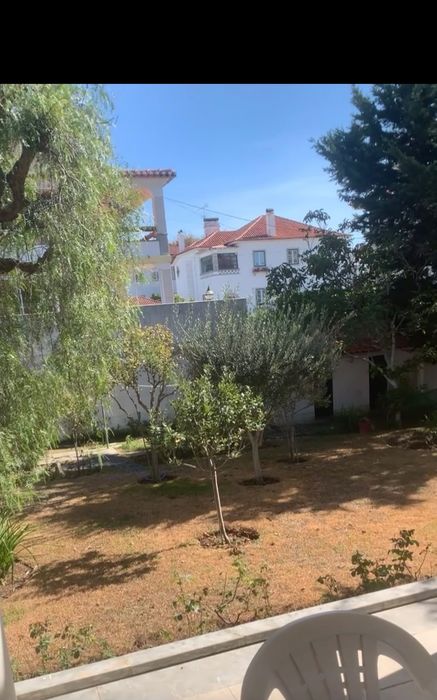 Serviços de jardinagem