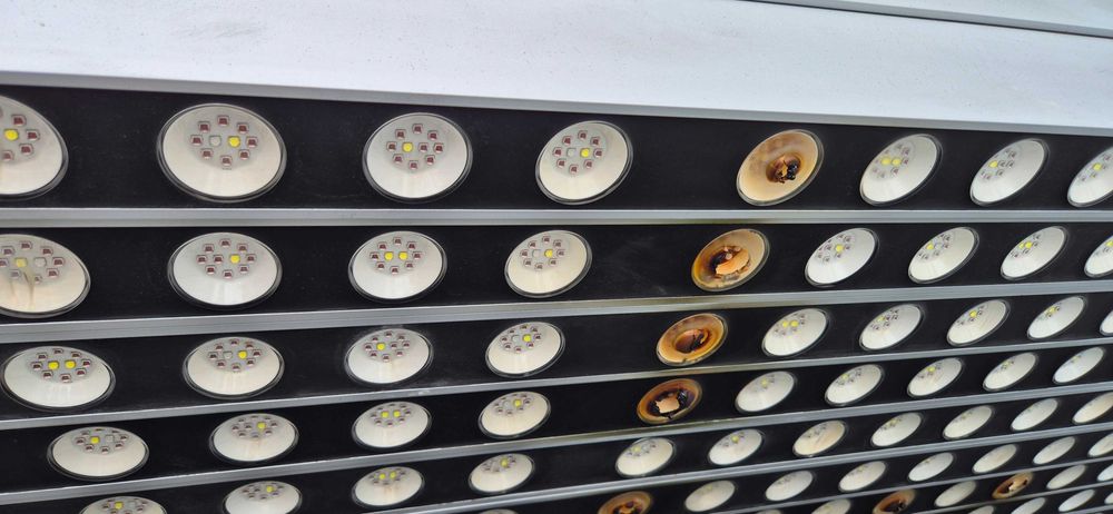 Lampa LED  Spectrum PHILIPS  do uprawy roślin