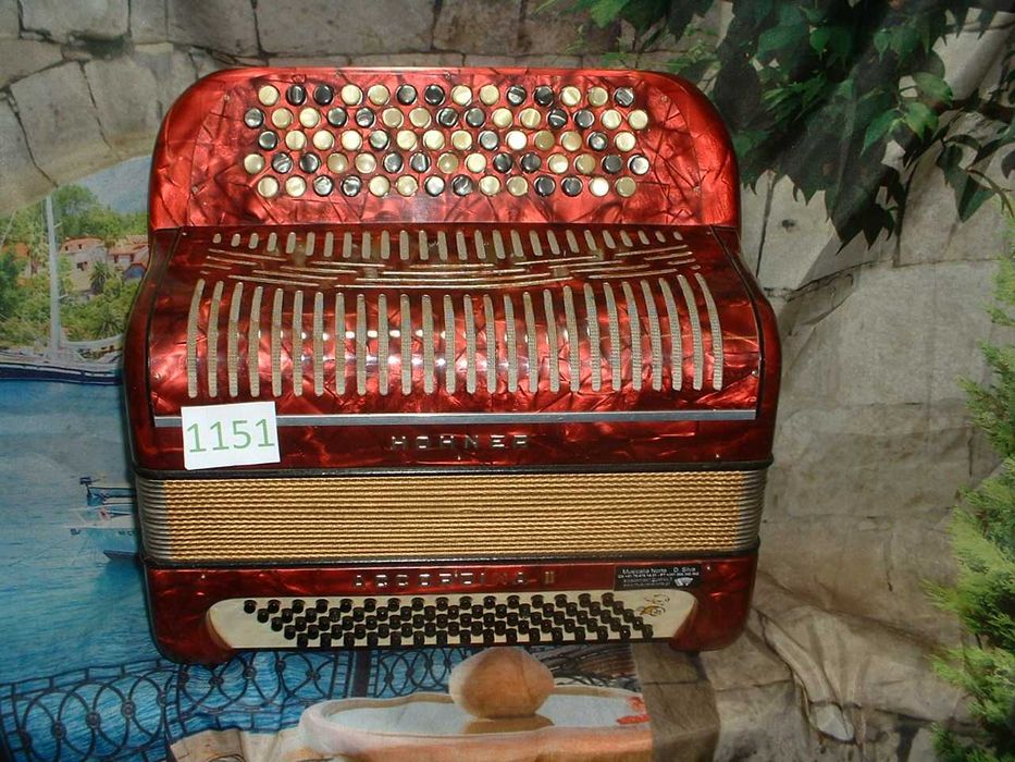 Acordeão Avenda R 1151