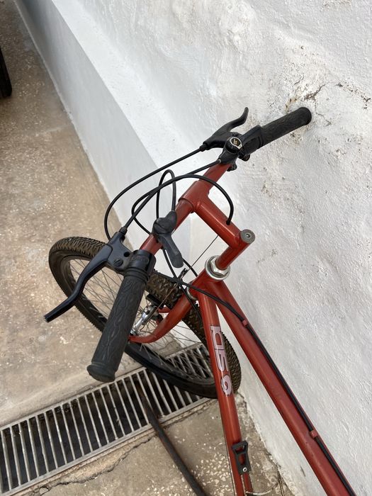 Bicicleta casual