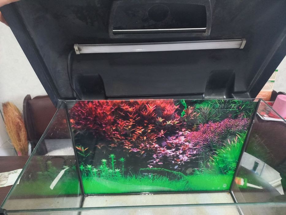 Акварюм новий стан 57