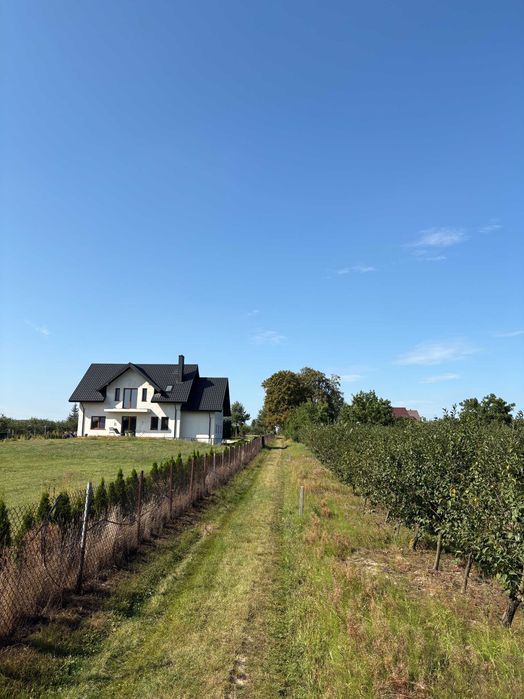 Biała Rawska - Działka z budynkiem - okazja inwestycyjna 0,5h - Widok 6