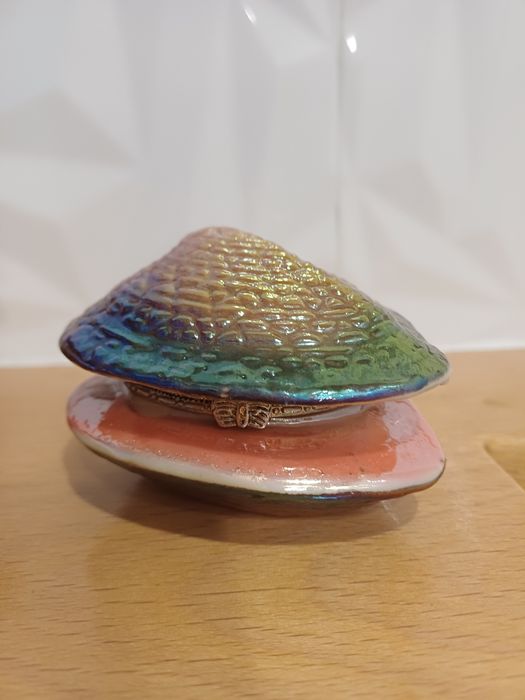 Muszla abalone(pudełko)