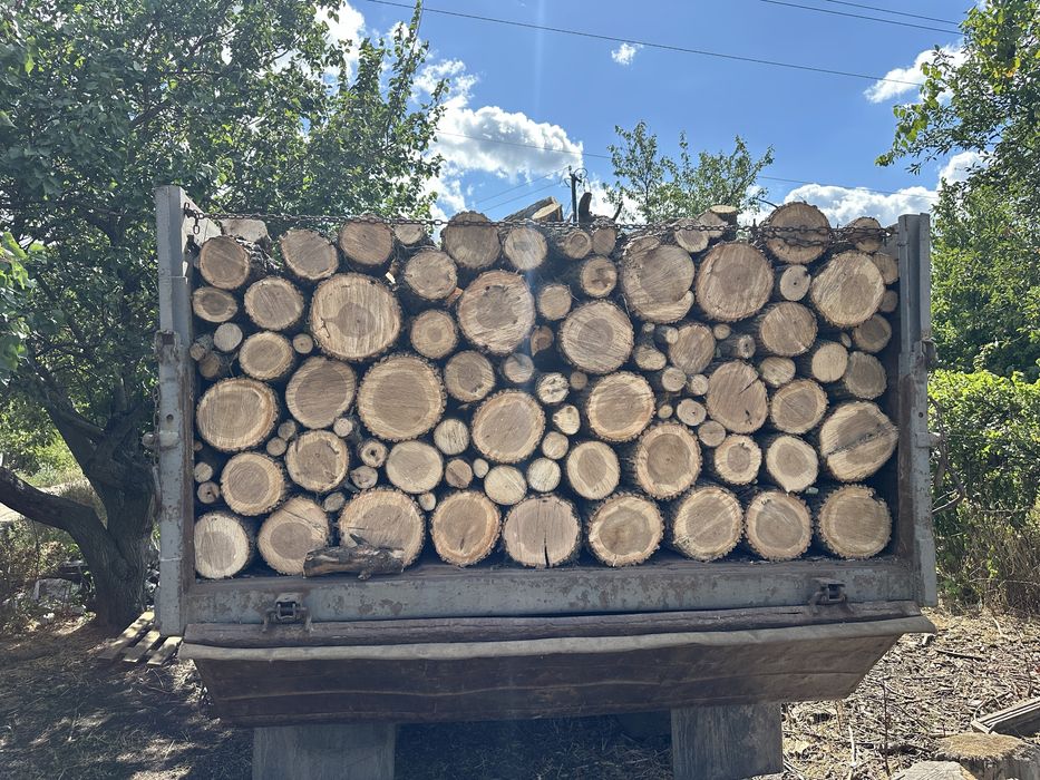 дрова твердых пород дёшево  с документами