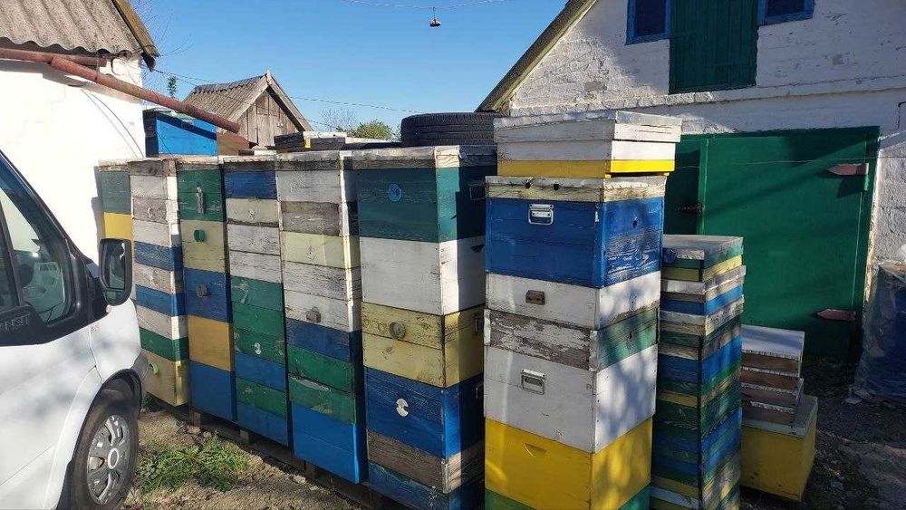 Продам вулики і все що треба для пасіки