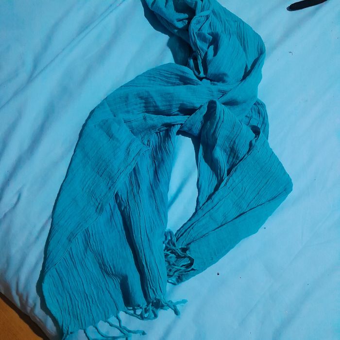 Cachecol e echarpes