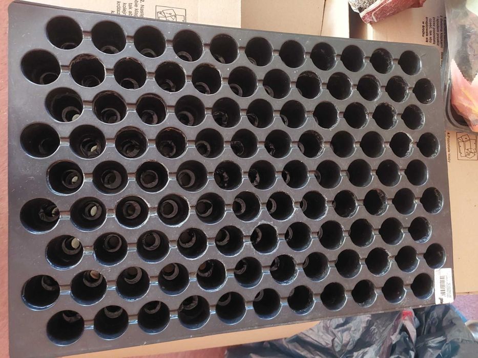 Wielodoniczka 3cm/103oczka idealna na siewki