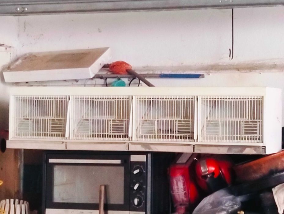 Gaiola para canários