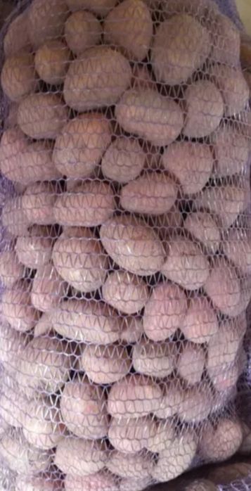 Картопля Бела роса, Гренада